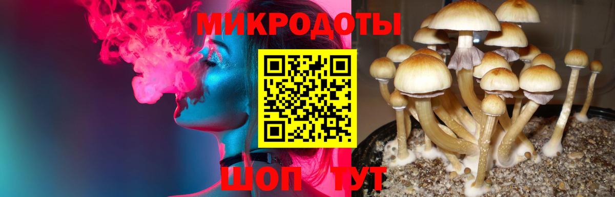 Галлюциногенные грибы мухоморы  как найти закладки  Касимов  Вход с VPN  Галлюциногенные грибы Cubensis 
